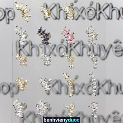 Khỉ Xỏ Khuyên Hai Bà Trưng Hà Nội