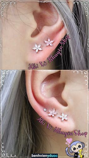 Khỉ Xỏ Khuyên Hai Bà Trưng Hà Nội