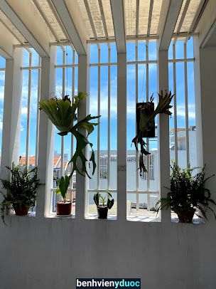 La Paz Yoga HCM Bình Thạnh Hồ Chí Minh
