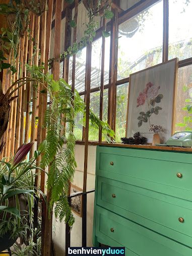 La Rosé Head Spa Đà Lạt Lâm Đồng