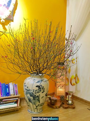 LAKSHMI YOGA VIETNAM - Health & Healing