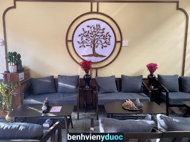 Lemon Tree Spa & Massage Hội An Quảng Nam