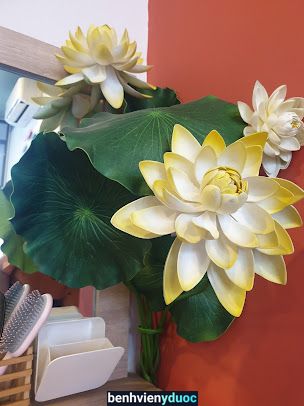 Linn Hair Spa 10 Hồ Chí Minh
