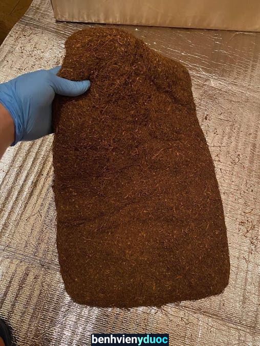 Long Thuốc Lào Hoằng Hóa Thanh Hóa