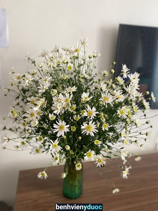 Lotus Spa Hàm Nghi Nam Từ Liêm Hà Nội