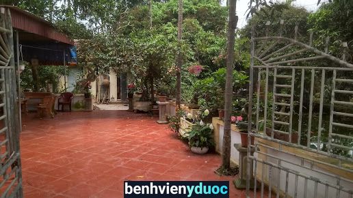Lương Y Đa Khoa - Hà Năng Lưu Ninh Giang Hải Dương