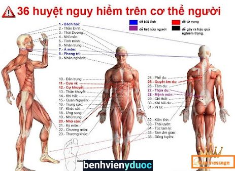 Massage body nữ - trị liệu - thư giản 12 Hồ Chí Minh