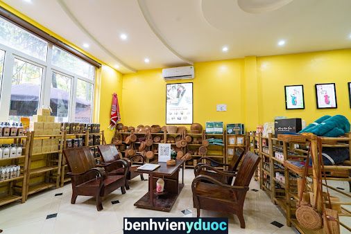 Massage trị liệu HaDu Việt Nam Hà Đông Hà Nội