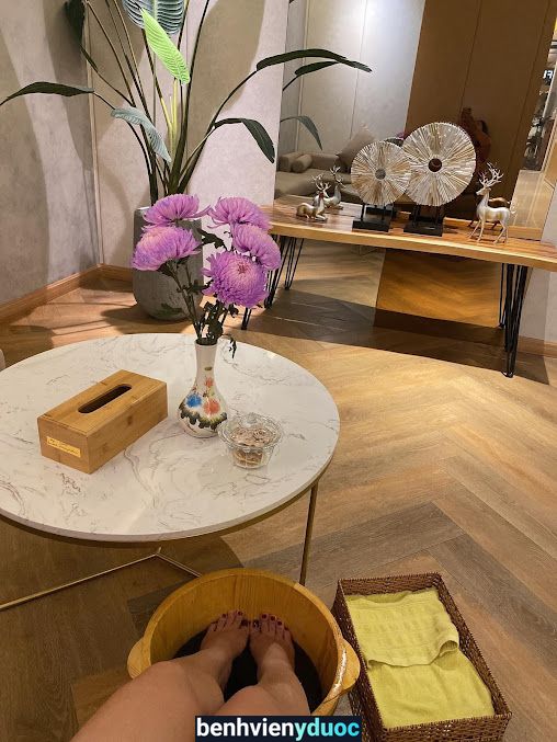 Massage trị liệu, Mát xa spa Tân Bình - iBone Fisio HCM Tân Bình Hồ Chí Minh
