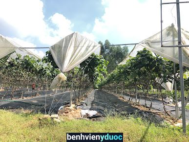 MEDLATEC Vĩnh Phúc Vĩnh Yên Vĩnh Phúc