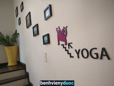 MIHO CAT'S YOGA 7 Hồ Chí Minh