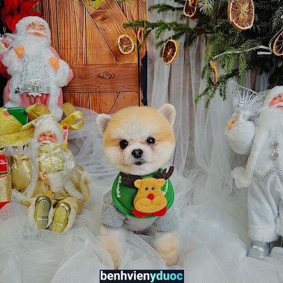 MiMi Pet Spa Đà Lạt Đà Lạt Lâm Đồng