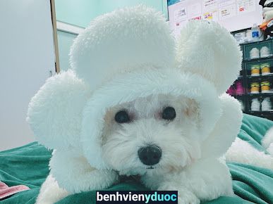 MiMi Pet Spa Đà Lạt Đà Lạt Lâm Đồng