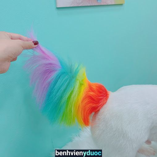MiMi Pet Spa Đà Lạt Đà Lạt Lâm Đồng