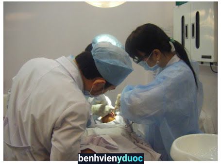 Nha Khoa Nhật Tảo - Bs Quách Thị Quỳnh Chi 10 Hồ Chí Minh