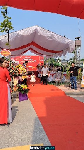 Nha Khoa Quốc Tế Ruby Dental Quỳnh Phụ Thái Bình