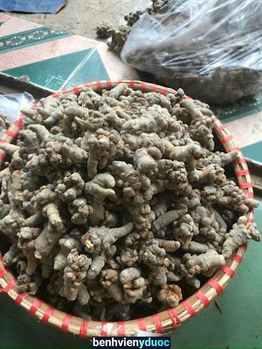 Nhà Thuốc Đông Dược Lan Kỳ Bỉm Sơn Thanh Hóa