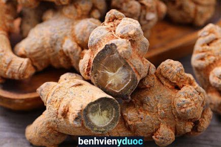 Nhà Thuốc Đông Dược Lan Kỳ Bỉm Sơn Thanh Hóa
