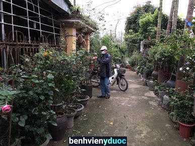 Nhà thuốc Đông Y Điến Lại Hưng Hà Thái Bình