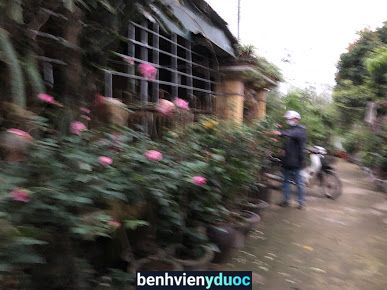 Nhà thuốc Đông Y Điến Lại Hưng Hà Thái Bình