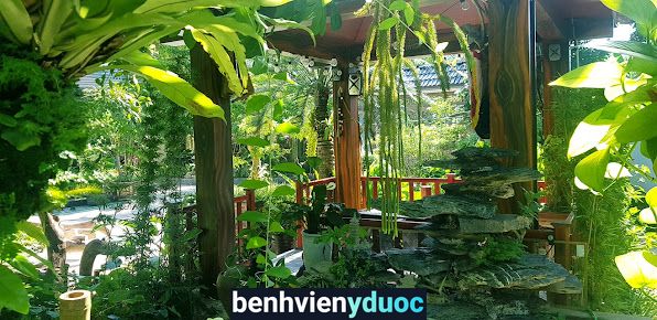 Nhà thuốc đông y gia truyền đức thịnh Lạc Thủy Hòa Bình