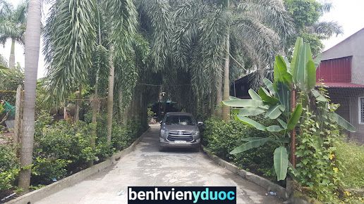 Nhà Thuốc Đông Y Trần Vượng Củ Chi Hồ Chí Minh