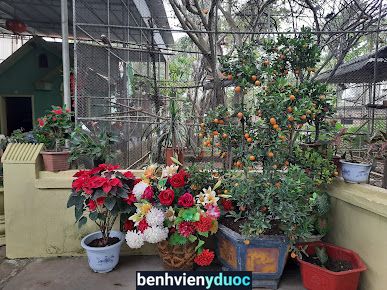 Nhà Thuốc Gia Truyền Lương y Cao Tăng Thái Hoà Nghệ An
