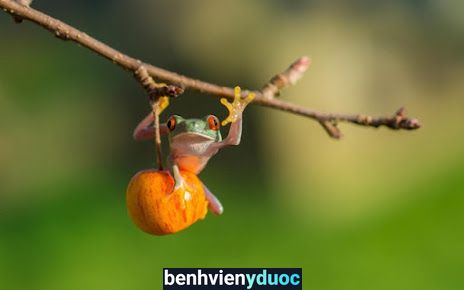 Nhà Thuốc Hải Hiền. Biên Hòa Đồng Nai
