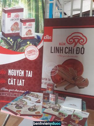 Nhà thuốc Kim Chi Chợ Mới An Giang
