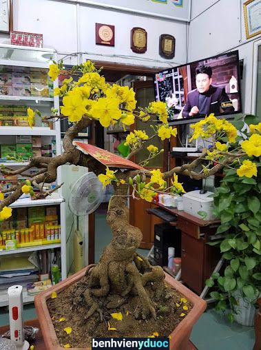 Nhà Thuốc Lập Uyên Tây Sơn Bình Định