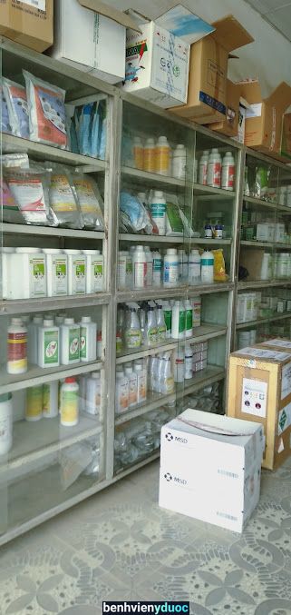 Nhà Thuốc Thú Y Tỉnh Phương Tam Dương Vĩnh Phúc