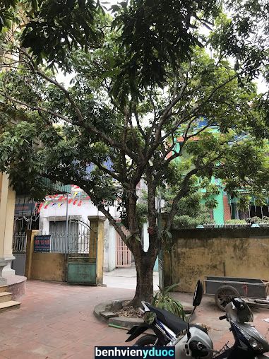 Nhà thuốc TÍN PHONG ĐƯỜNG Quỳnh Phụ Thái Bình