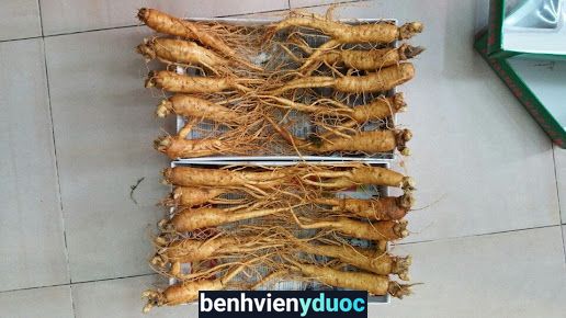 Nhà Thuốc Tư Nhân Công Tâm