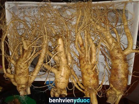 Nhà Thuốc Tư Nhân Công Tâm Tân Phú Hồ Chí Minh