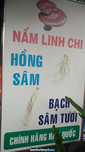 Nhà Thuốc Y Học Cổ Truyền Minh Nguyệt Đường Vũng Tàu Bà Rịa - Vũng Tàu