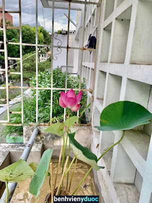 Nhung Yoga Studio Nha Trang Khánh Hòa