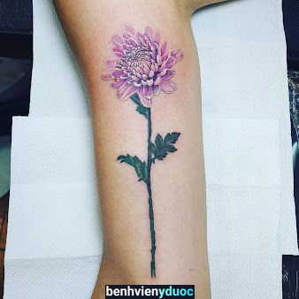 Ninja Ink Tattoo Tây Hồ Hà Nội