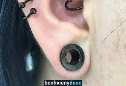 Ong Xỏ Khuyên Hà Đông Hà Nội