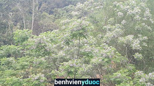 Phòng Khám - Bs An Phát Tân Kỳ Nghệ An