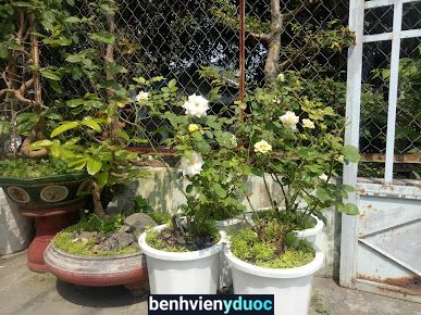 Phòng Khám - Bs Huỳnh Giao Tháp Mười Đồng Tháp