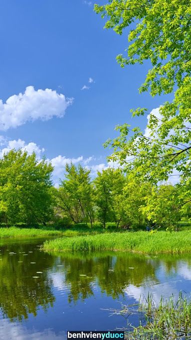 Phòng Khám BS Lâm BS Nhi Bến Tre Bến Tre