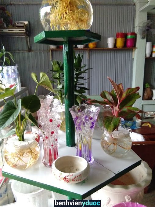 Phòng Khám - Bs Nhung Krông Nô Đắk Nông