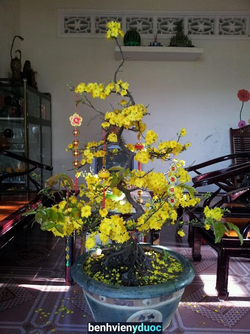 Phòng Khám Chuyên Khoa Sản Bs Lê Hồng Cẩm
