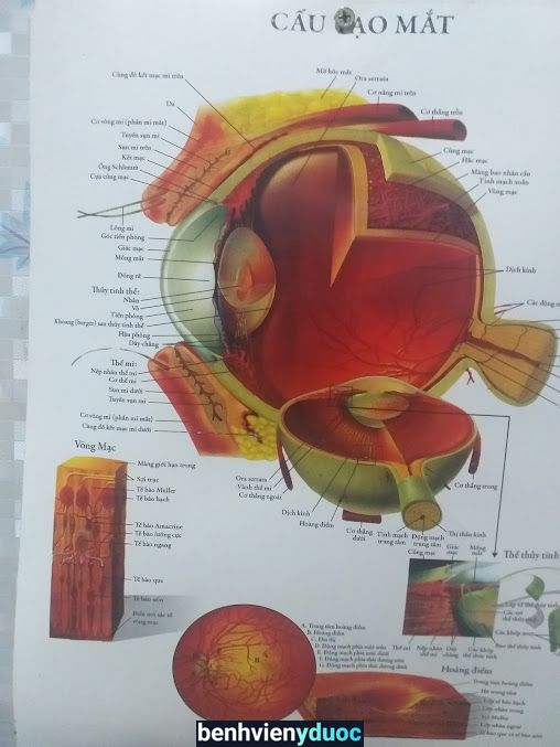 Phòng khám CK Mắt - BsCK1 Phạm Đình Động Gia Nghĩa Đắk Nông