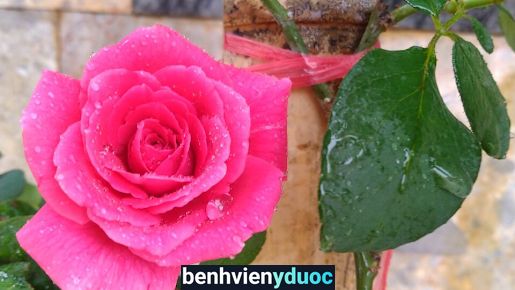 Phòng khám Đa khoa Quốc Tế AA