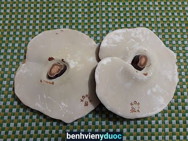 Phòng Khám Đông Y Gia Truyền Long Tuyển Nông Cống Thanh Hóa