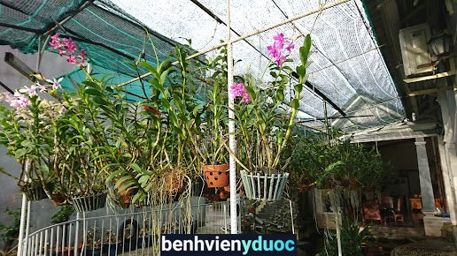 Phòng khám nhi BS Mậu