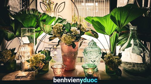 Phòng Khám Phụ Khoa Bác Sĩ Hải - Dr. Hai Clinic