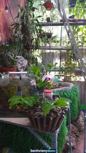 Phòng Khám Sản Phụ Khoa - Bs Bùi Đức Tiệp