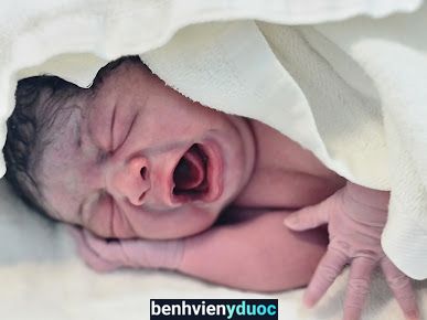 Phòng Khám Sản Phụ Khoa Bs Hoàng Uyên Tân Bình Hồ Chí Minh
